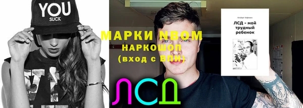 тгк Алзамай