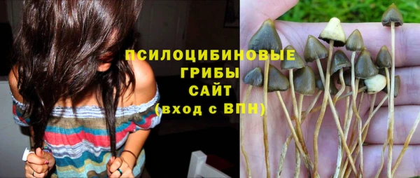 тгк Алзамай