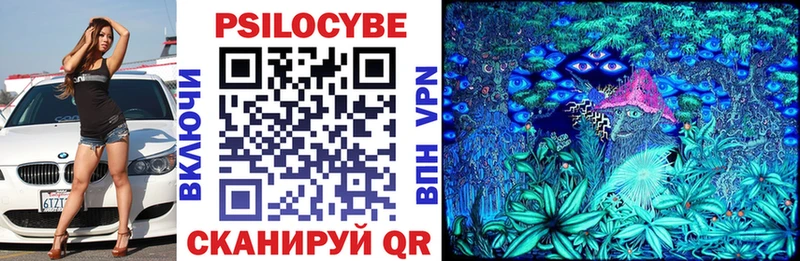 Псилоцибиновые грибы Cubensis  Чайковский 